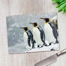 Trio of Antartic Penguins