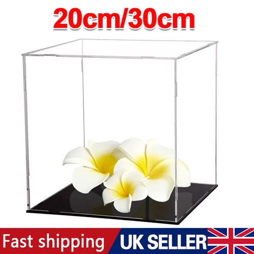 Acrylic display case - display,