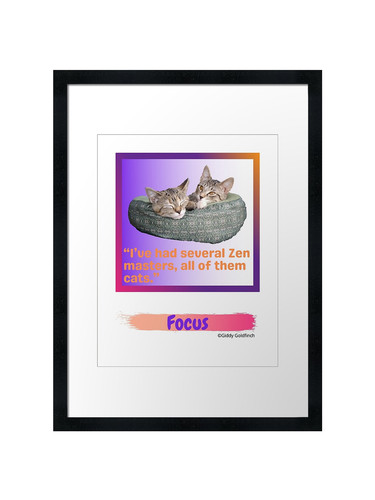 Kitten basket focus framed - focus,