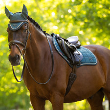 IT08286 LeMieux Loire Classic