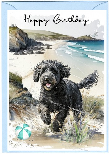Labradoodle doodle dog - doodle,