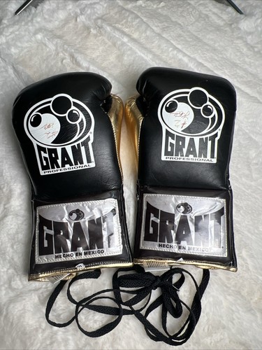 Grant boxing pro fight - oz,