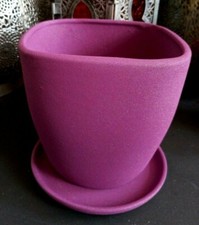 Ruby or Violet Flower Pot Home