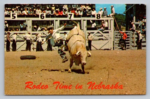 Postcard nebraska rodeo time - postcard,