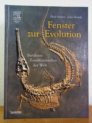 Fenster zur evolution - fenster,