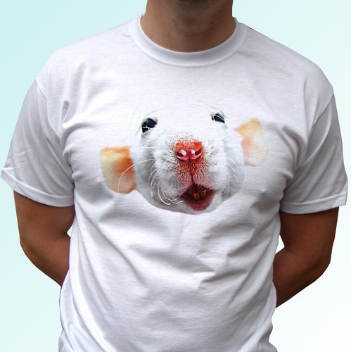 Rat shirt animal white tee - t,