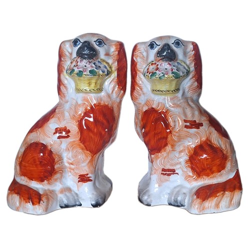 Staffordshire spaniel pair - spaniel,