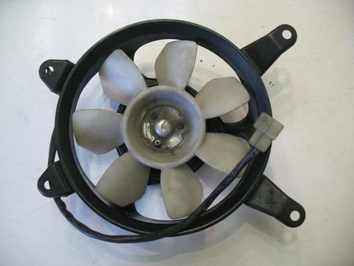 Kawasaki gpx 750 - kawasaki, fan