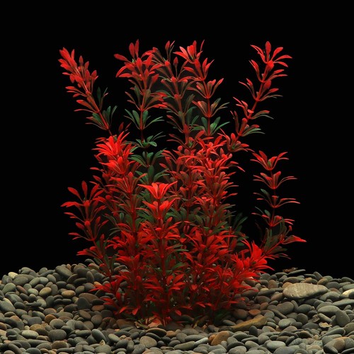 Lynko large aquarium plants - large,