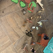 Safari Park Models And Scenery