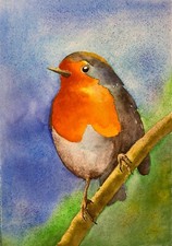 Robin Original Watercolour