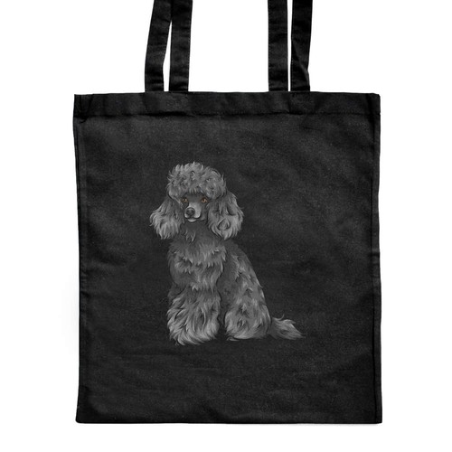 Black toy poodle - toy, poodle'