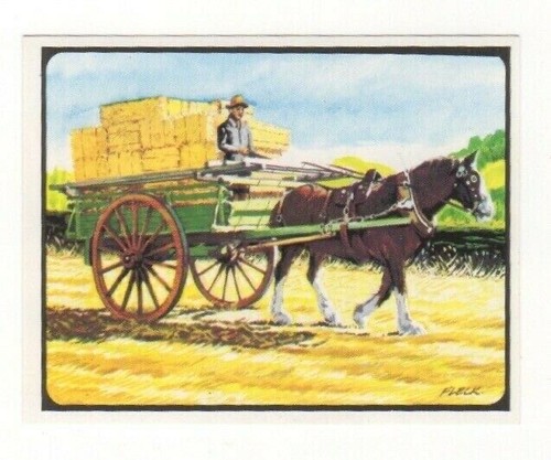 Sanitarium road transport - sanitarium, nz
