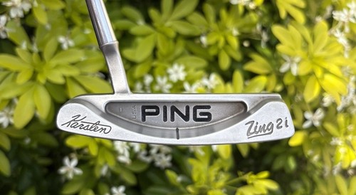 Ping zing isopure right - isopure,