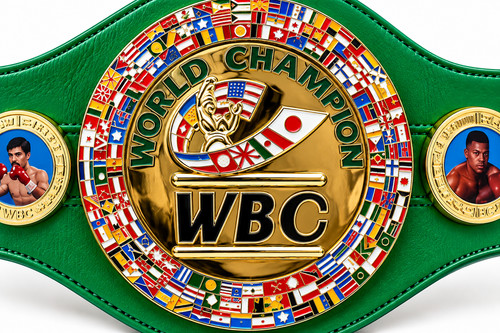Boxing championship belt adult - boxing,