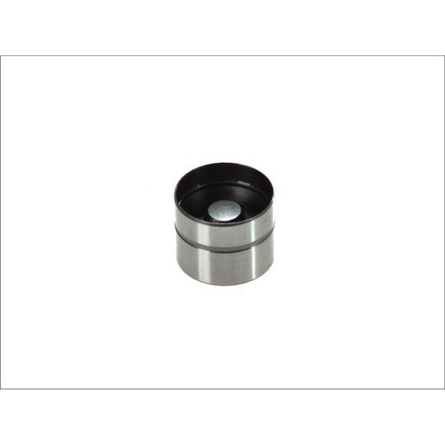 Fits ina 420 0050 tappet - 2x,