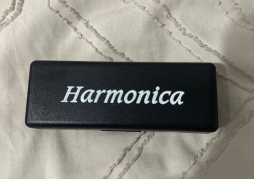 Hole harmonica mouth - 10,