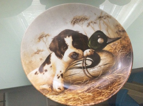 1987 springer spaniel dog pup - 1987,