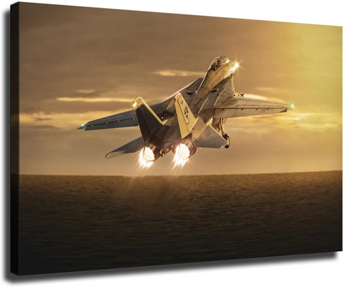 Military aircraft f14 - military,