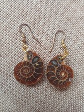 Ammonite Earrings Real Fossil