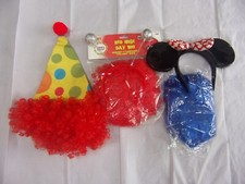 Job Lot of Fancy Dress Items - REDUCED