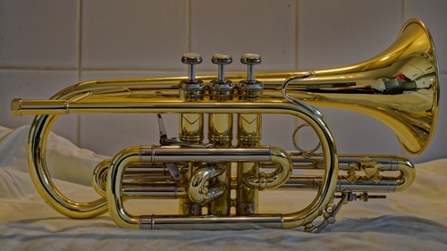Bach stradivarius cornet 184ml - bach,