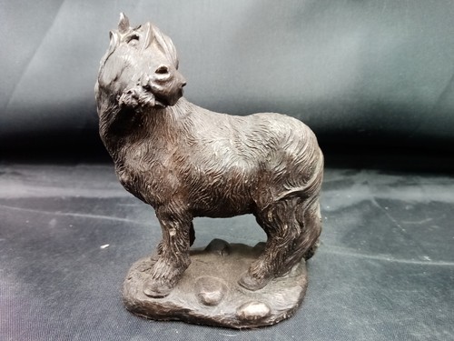 Heredities shetland pony - heredities, cold