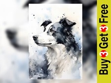 Border Collie Watercolor Print