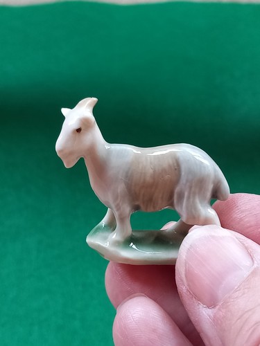 Italian goat from the - the, 1950s