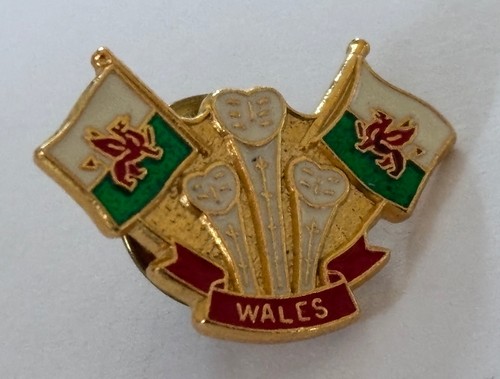 Wales flag feathers lapel - flag,