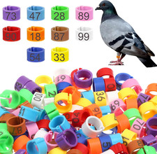 100 Pcs 8mm Birds Leg Rings