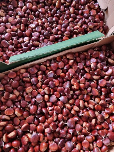 Sweet chestnuts 1kg - sweet,