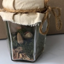 Freshly Caught Cornish Pisky