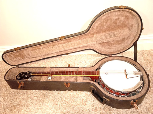 Vintage washburn 5 string - vintage, 5-string