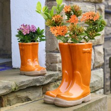 Plant Flower Pot Outdoor