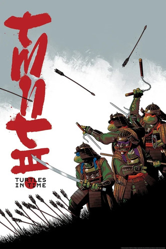 Teenage mutant ninja turtles - teenage,