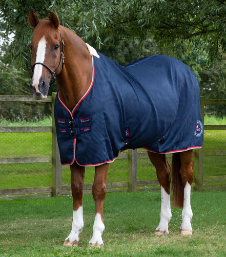 Premier equine buster - premier,