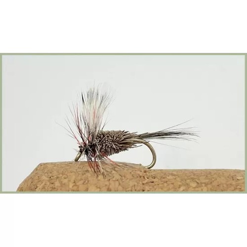 Barbless dry flies per - dry, 6