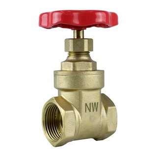 Brass gate valve female - brass,