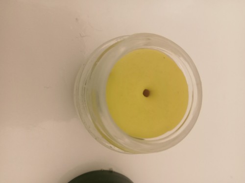 Rare discontinued lush - discontinued, solid
