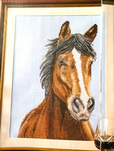 Horse riding rocking horses - rocking,