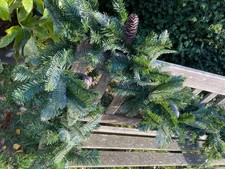 Sarah Raven Best Pine Garland