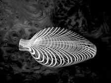  19th century Nailsea glass