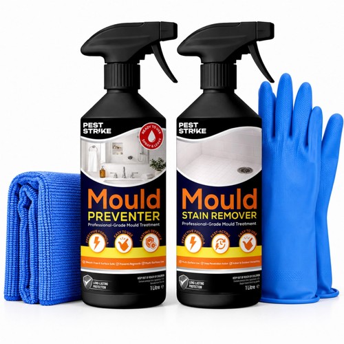 Mould remover and prevention - remover,