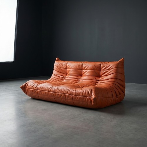 Vintage ligne roset - vintage,