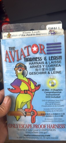 The aviator parrot - parrot, harness