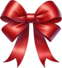 Red Christmas Coquette Bow
