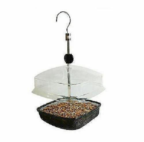 Mealworm feeder worm - mealworm,