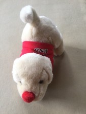 Andrex Comic Relief Dog