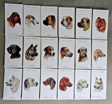 DOGS HEADS by  PETER BIEGEL